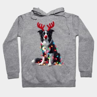 Christmas Red Nose Border Collie Dog Hoodie